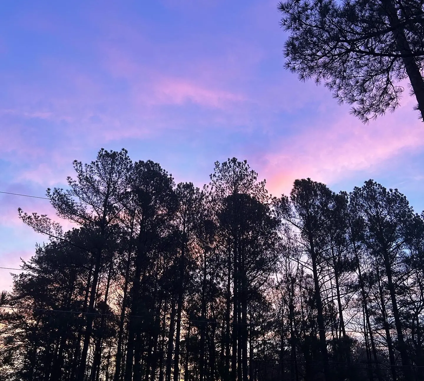 Stream of Consciousness. Where I Write