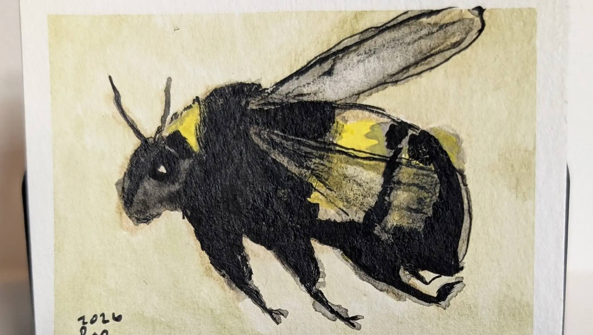 Purchase ACEO original artwork!. Originals for sale!