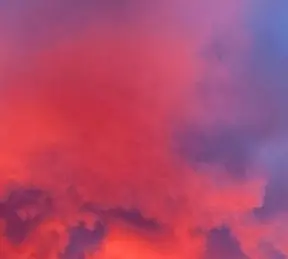 Highlight your story. Bring your brand to life