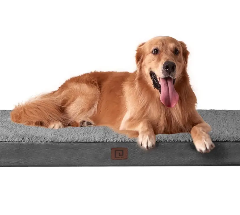 Pet Paradise. Amazon Finds
