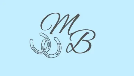 Website/Booking