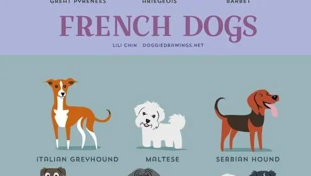 Dogs. French