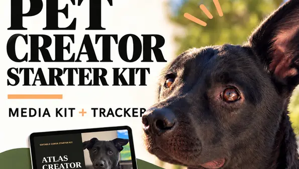 media kit, pitch scripts & partnership tracker. pet creator starter kit