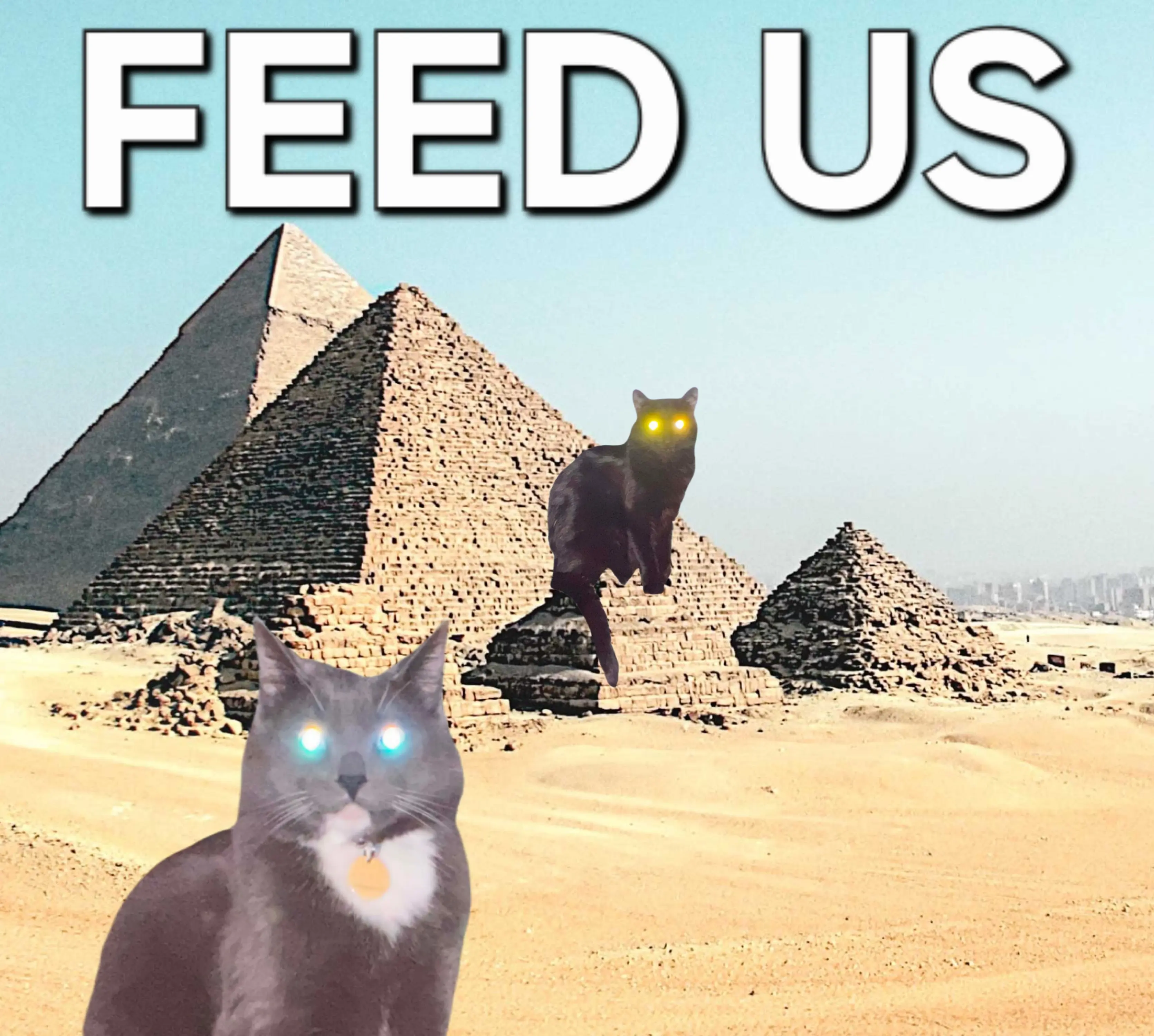 UNDER CONSTRUCTION. Enjoy my cat vid for now.