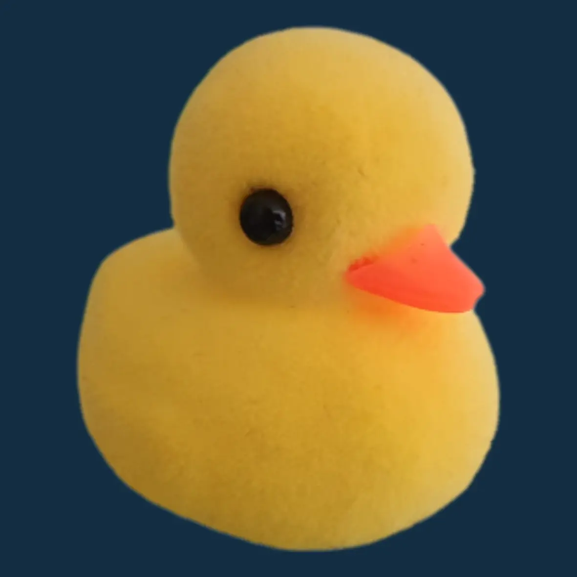 Donate to Patito (and Sally)