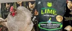 First Saturday Lime