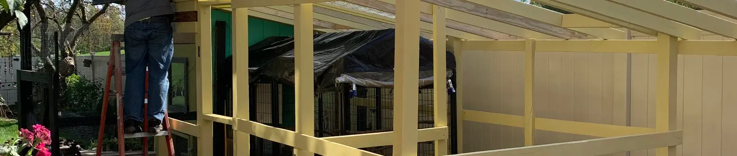 >our DIY chicken run<. That time we built a walk-in covered run