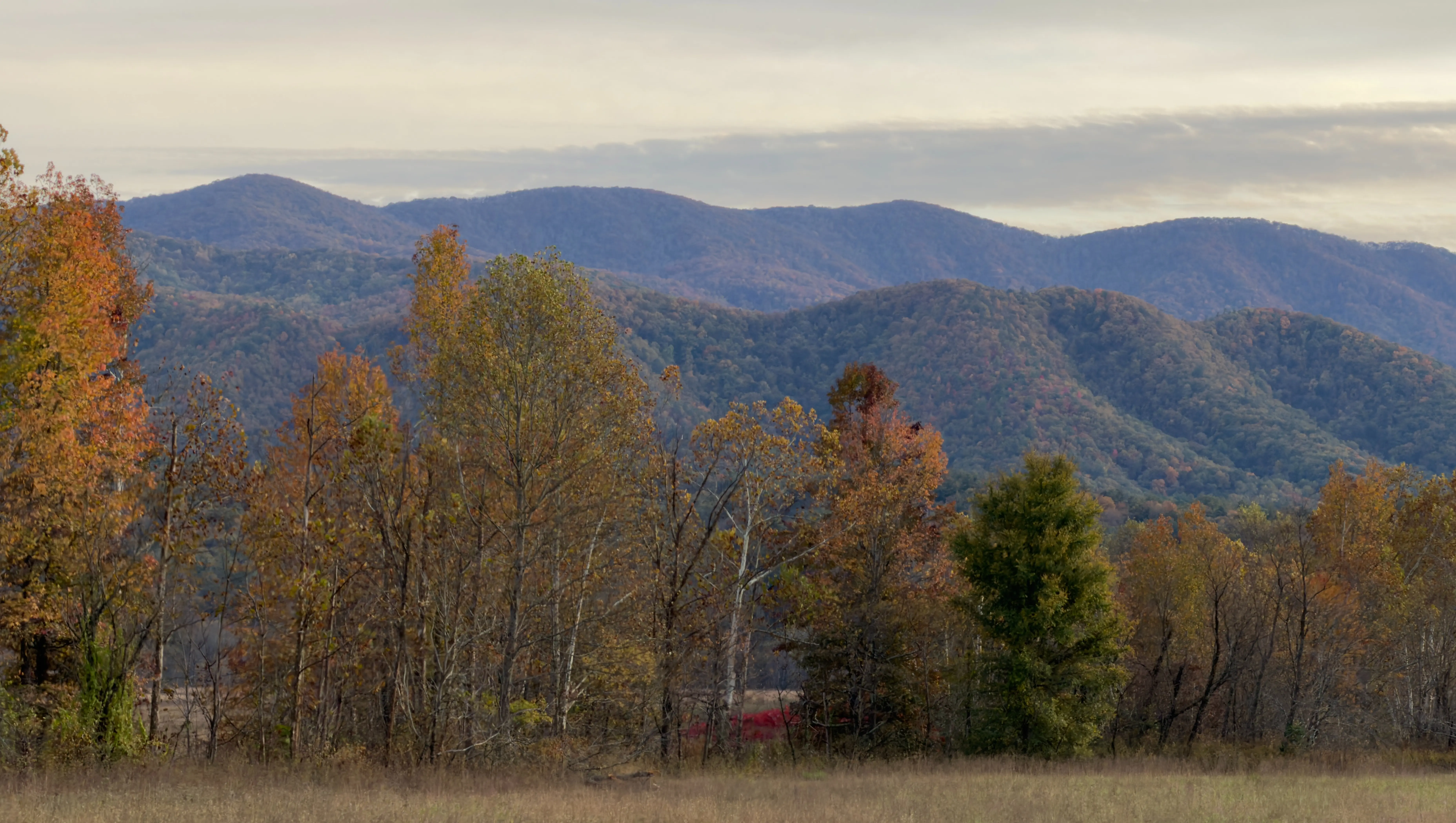 Interested in a Trip Like This?. Tennessee 2025