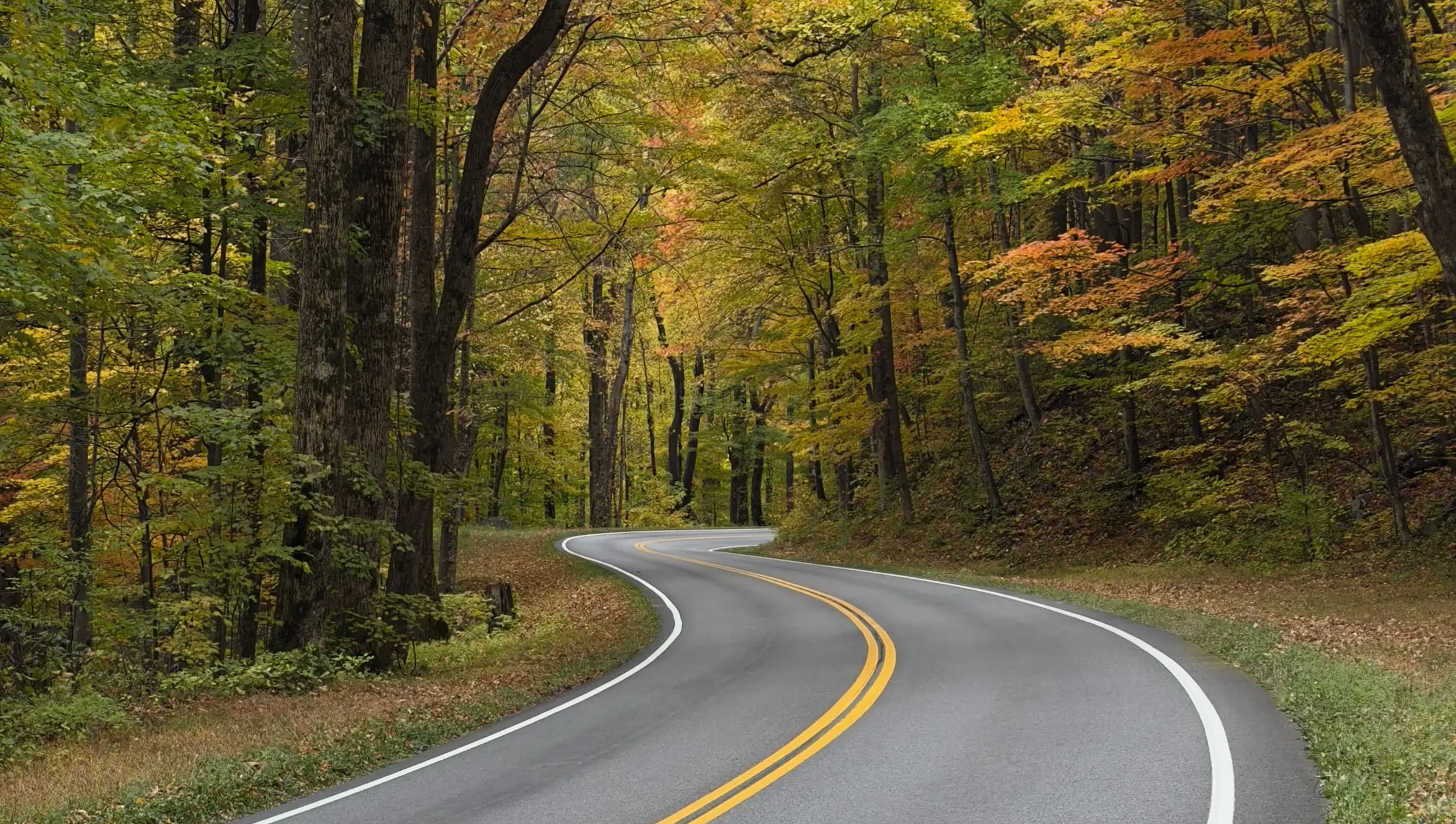 Interested in a Trip Like This?. Tennessee 2025