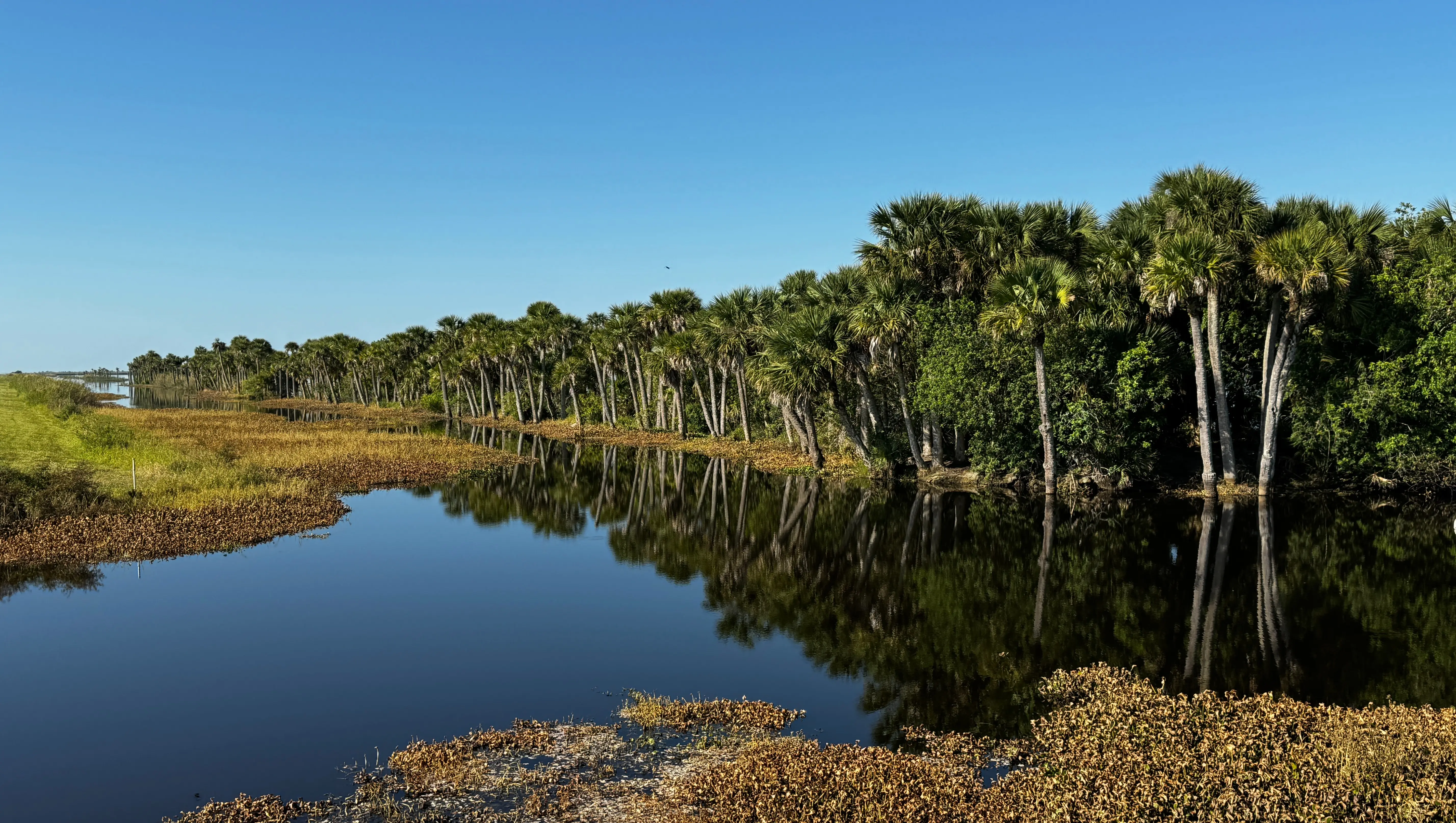 Interested in a Trip Like This?. Florida 2025