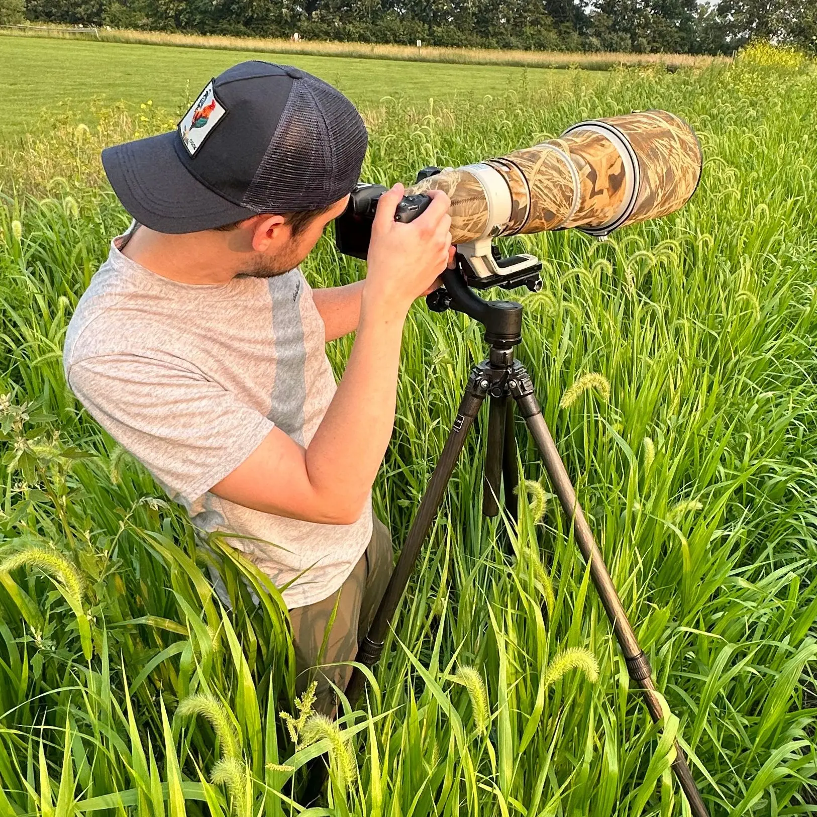 Wildlife Photography Training & Courses