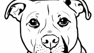 Donate via Venmo. Venmo Donation