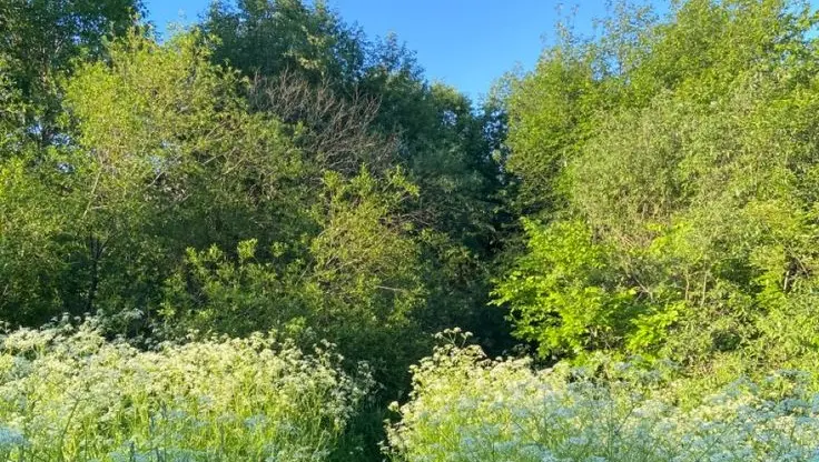 Gardencore 3 match tiles. cozy match feathers