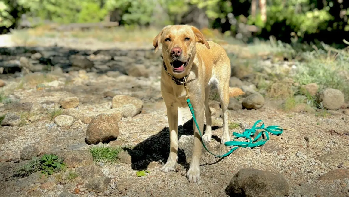use code MISFITS. 10% off at high tail hikes