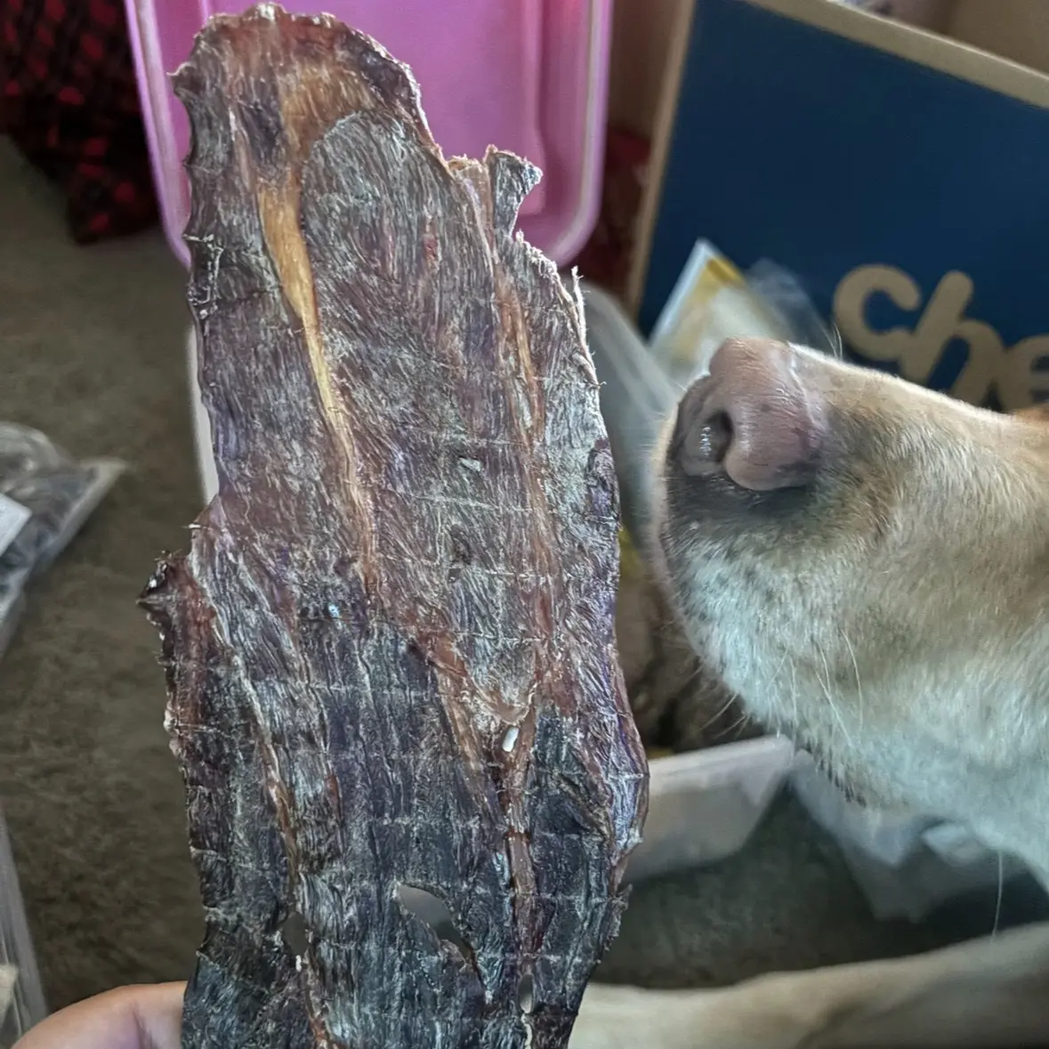 $20 off $40+ purchase on your first order. naked beasts referral