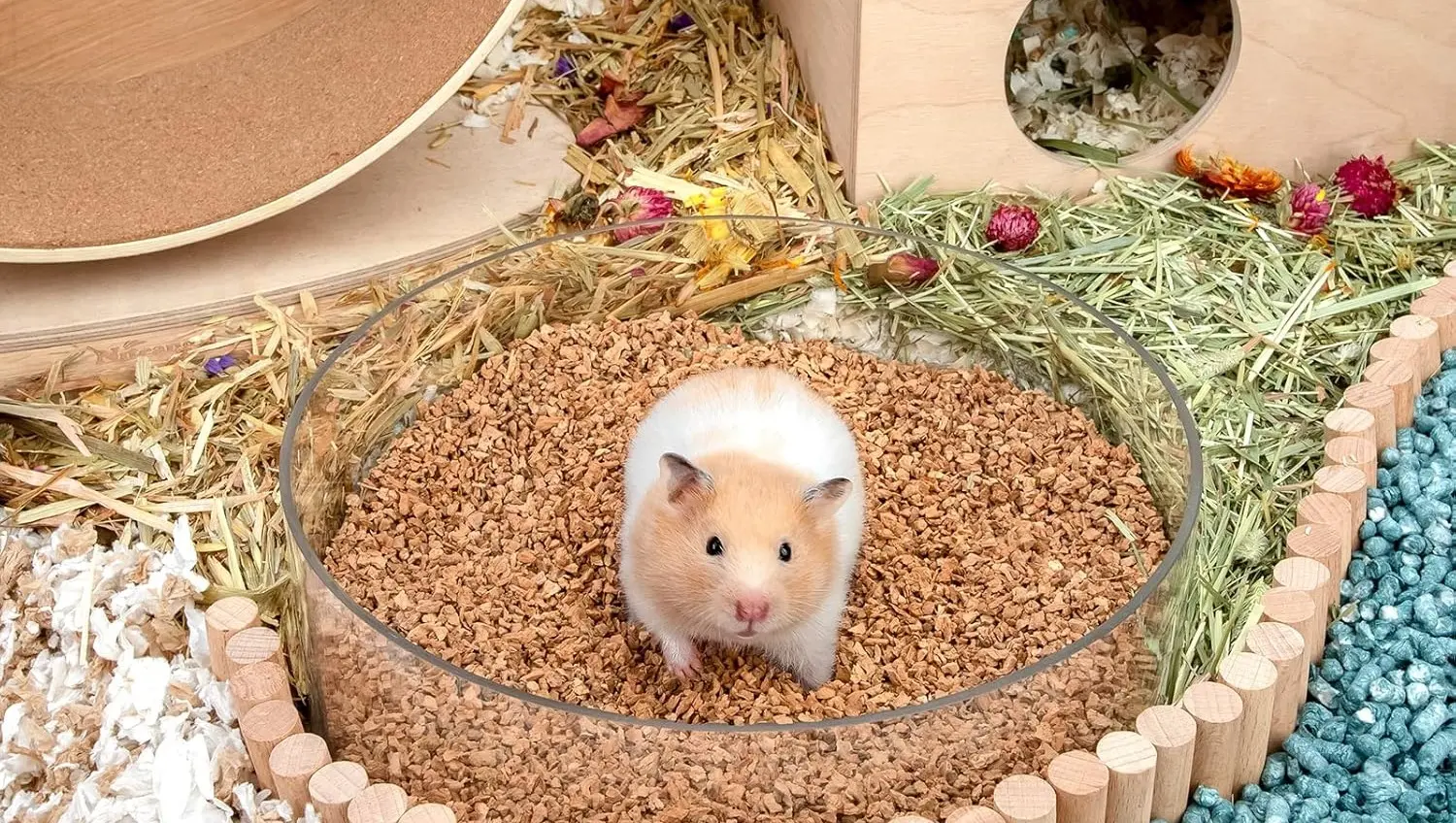 Hamster Habitat Accessories