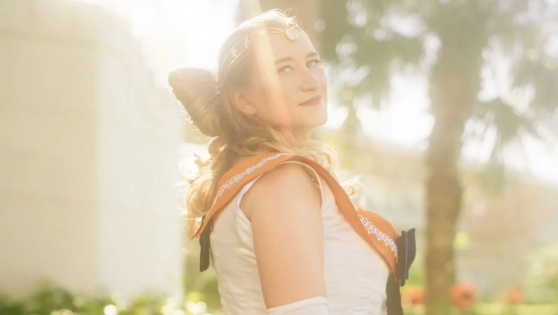 1880s Sailor Venus Build Book