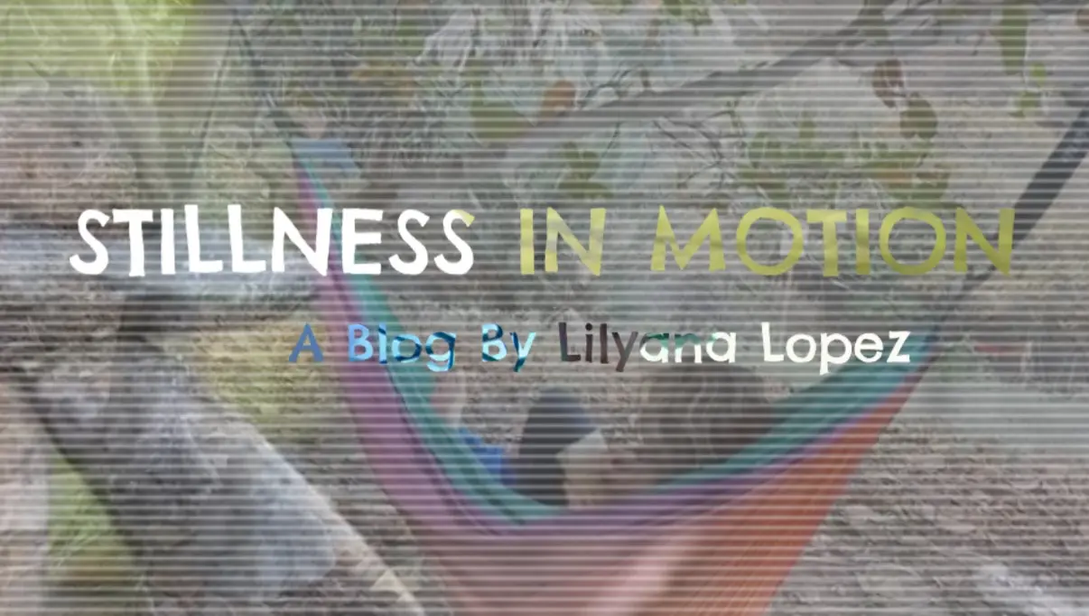 Stillness in Motion. Blog