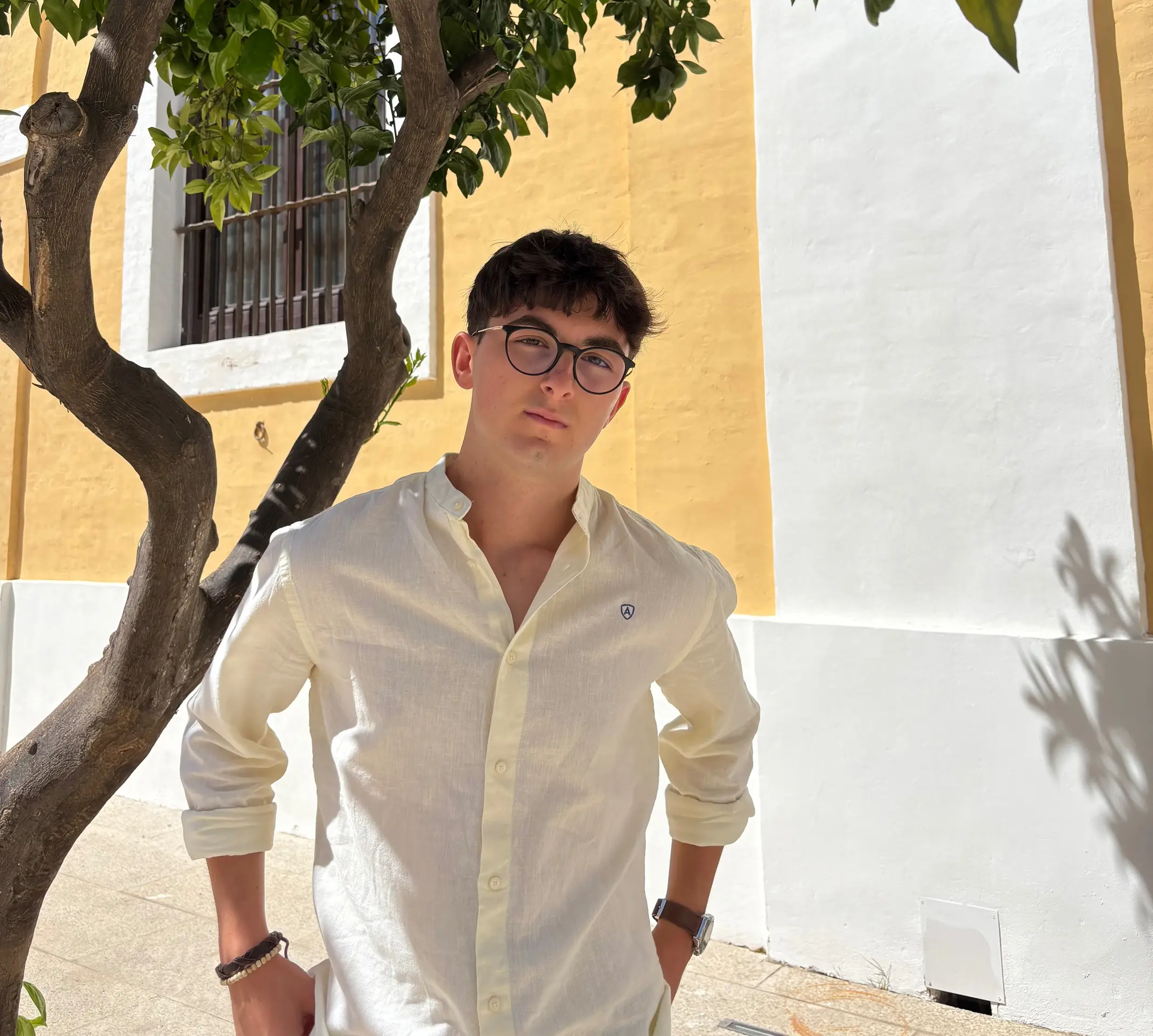 Álvaro Palacio Martinez