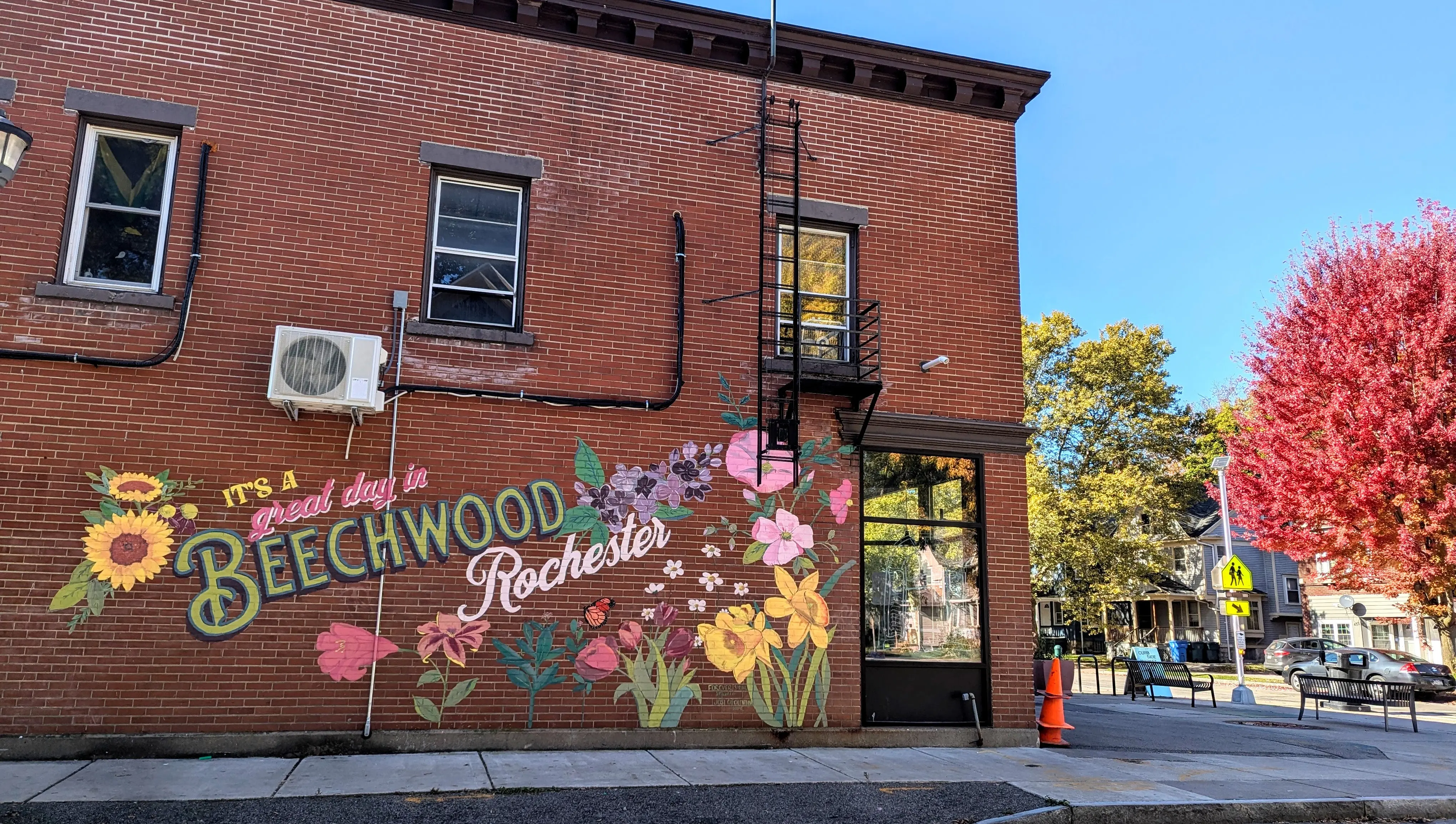 Portfolio and contact. Murals & Licensing