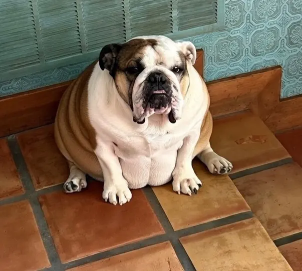 Brody Fritz