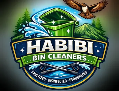 HabibiBinCleaners