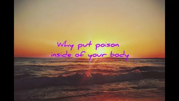 Don't Wait For Life (Lyric Video) - Peach Giraffe