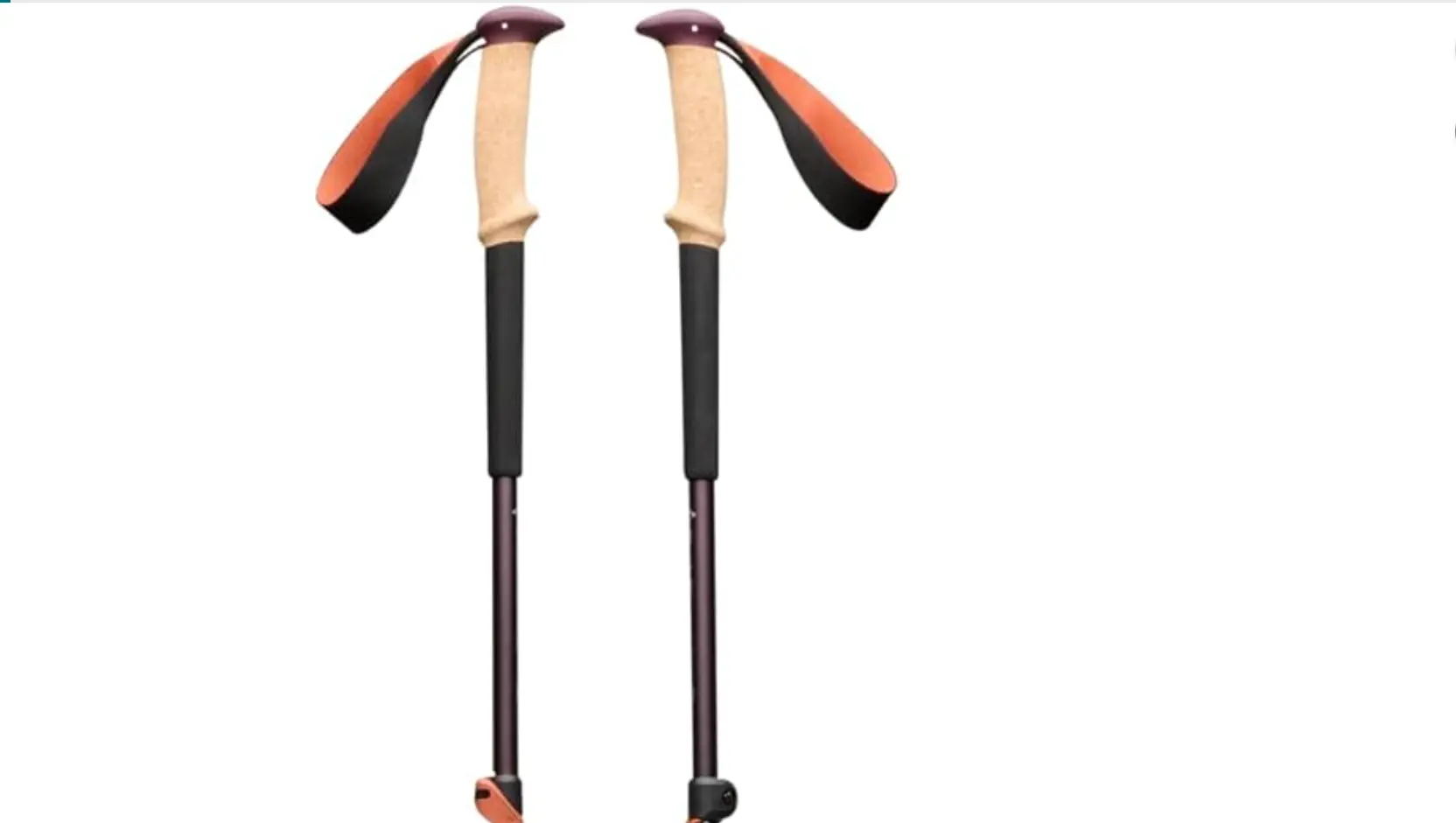 Black Diamond Trail Trekking Poles