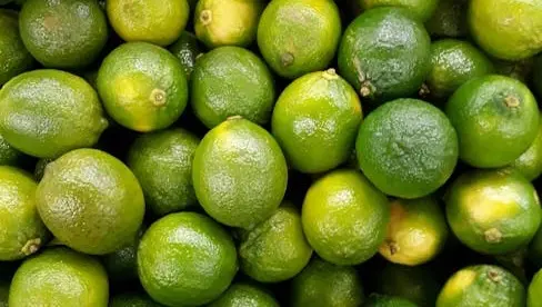Fruit. fruit