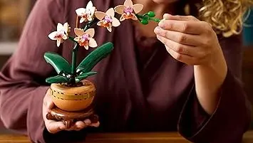 Botanicals Mini-Orchidea