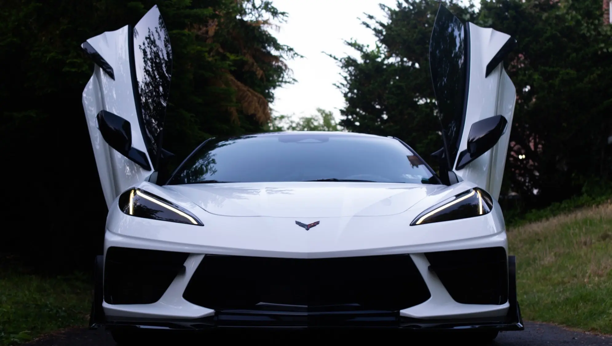 Full In and out. C8 Stingray
