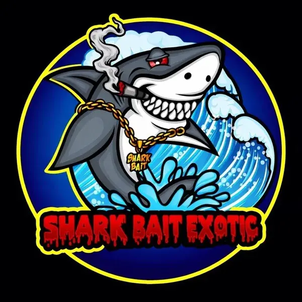 sharkbaitexotic