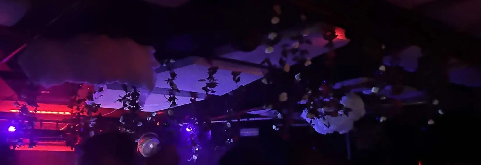 Bring your brand to life. Highlight your story