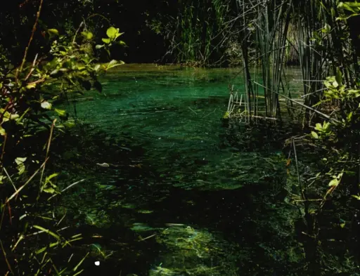 Amenta
