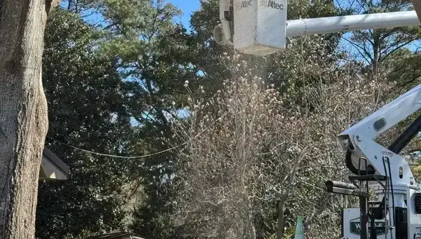 Wiese Tree Service LLC on Qdexx