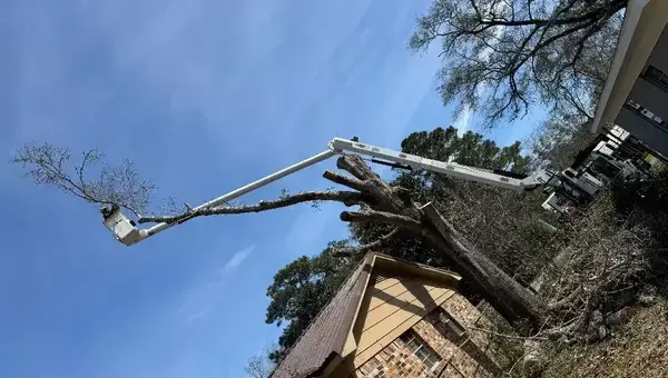 Wiese Tree Service LLC on UniqueYellowPages