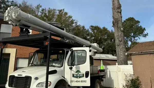 Wiese Tree Service LLC on AProfitableDay