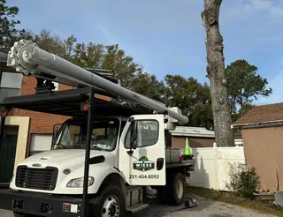 Wiese Tree Service LLC