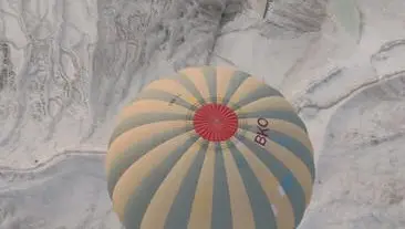 bug. Bug