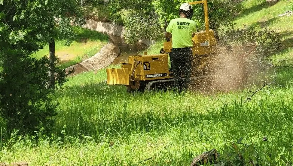 Sindt Tree Service on Cataloxy