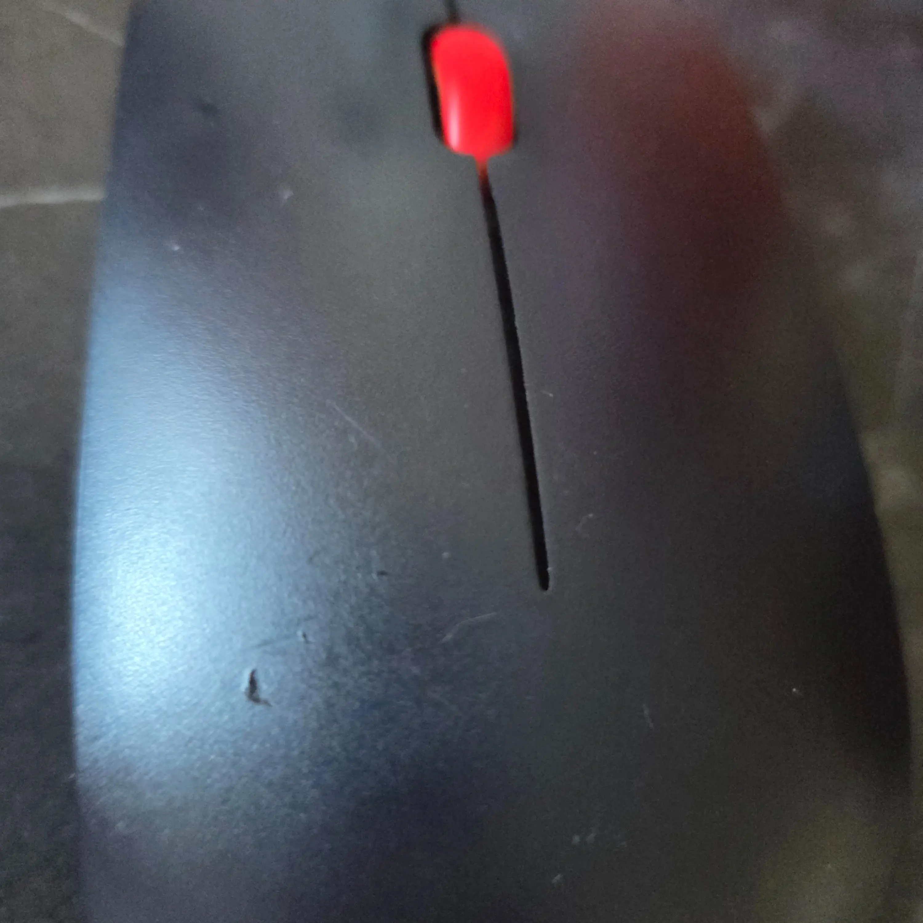 Mouse