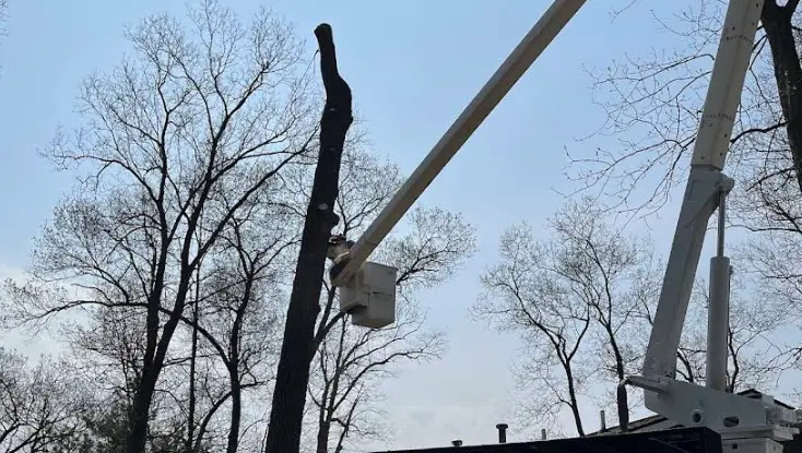 Michigan Theatre of Jackson to The Tree Guy Services LLC