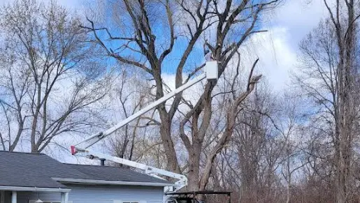 James J. Keeley Park to The Tree Guy Services LLC