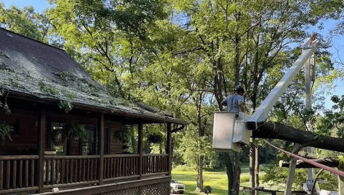 Ella Sharp Museum to The Tree Guy Services LLC