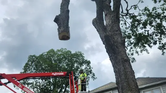 Memorial Union to Tree Wise Men