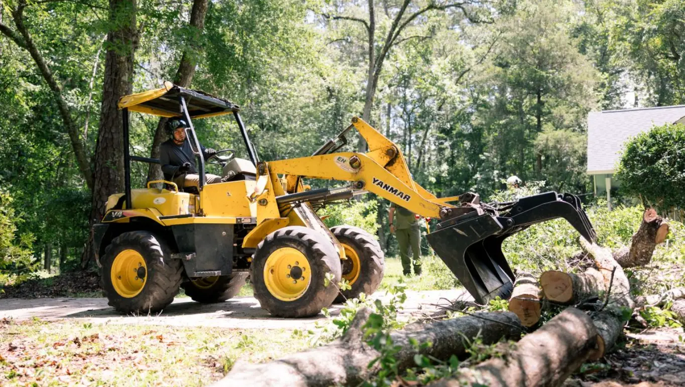 Tallahassee Museum to Miller's Tree Service