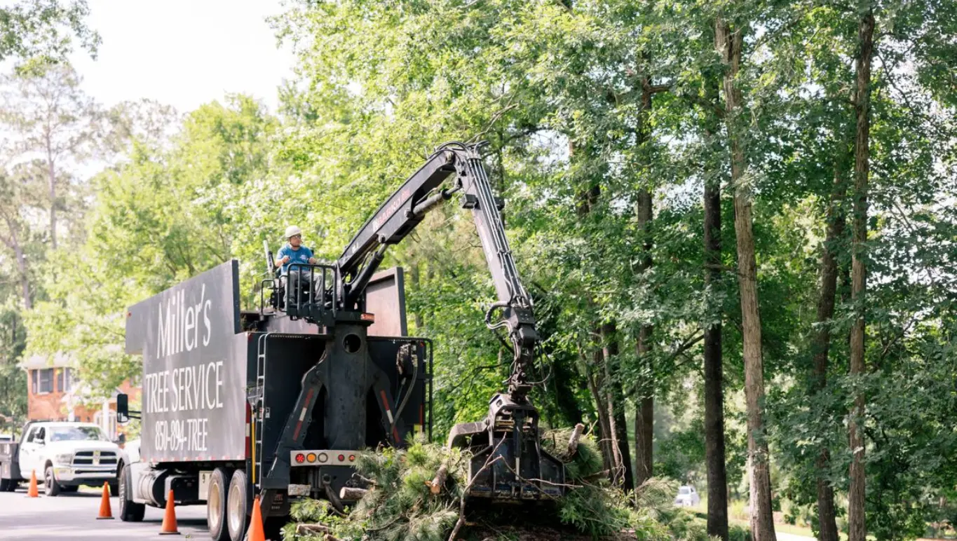 Cascades Park to Miller's Tree Service