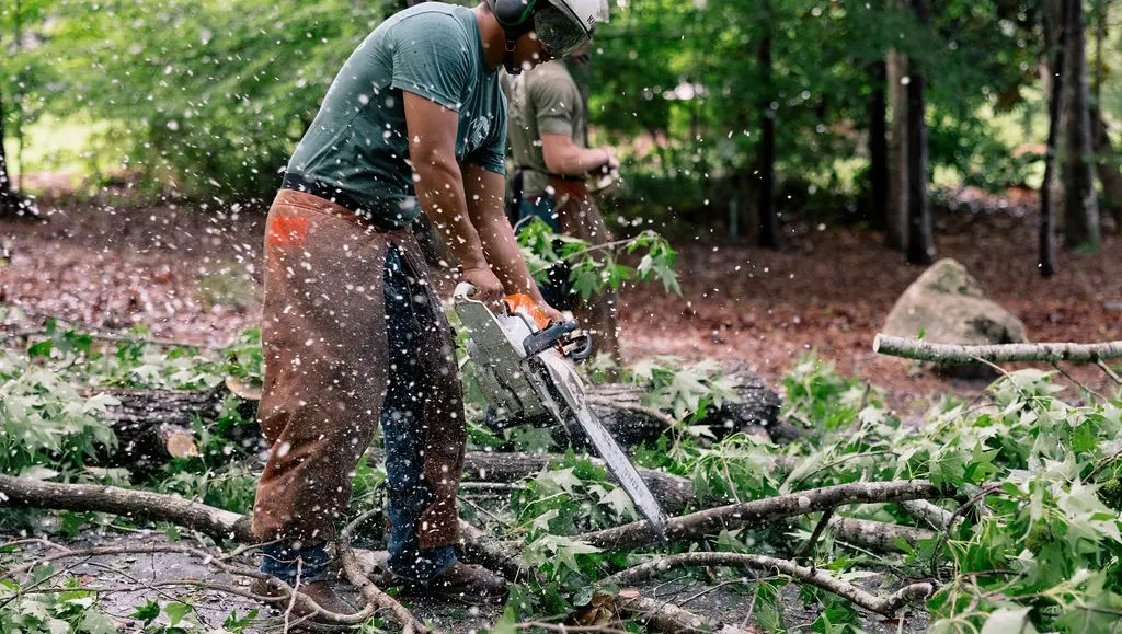 Florida State Capitol to Miller's Tree Service