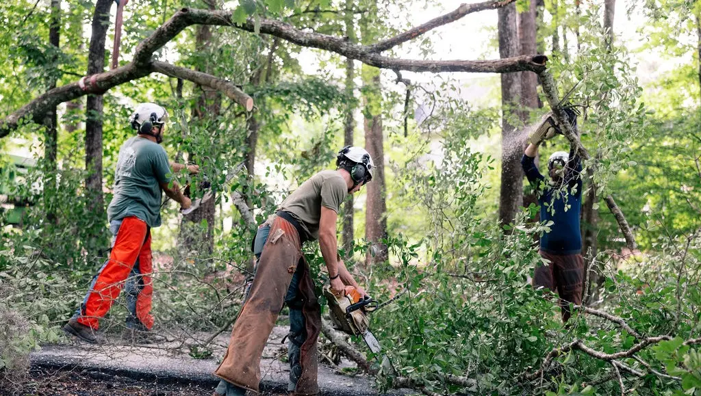Alfred B. Maclay Gardens State Park to Miller's Tree Service
