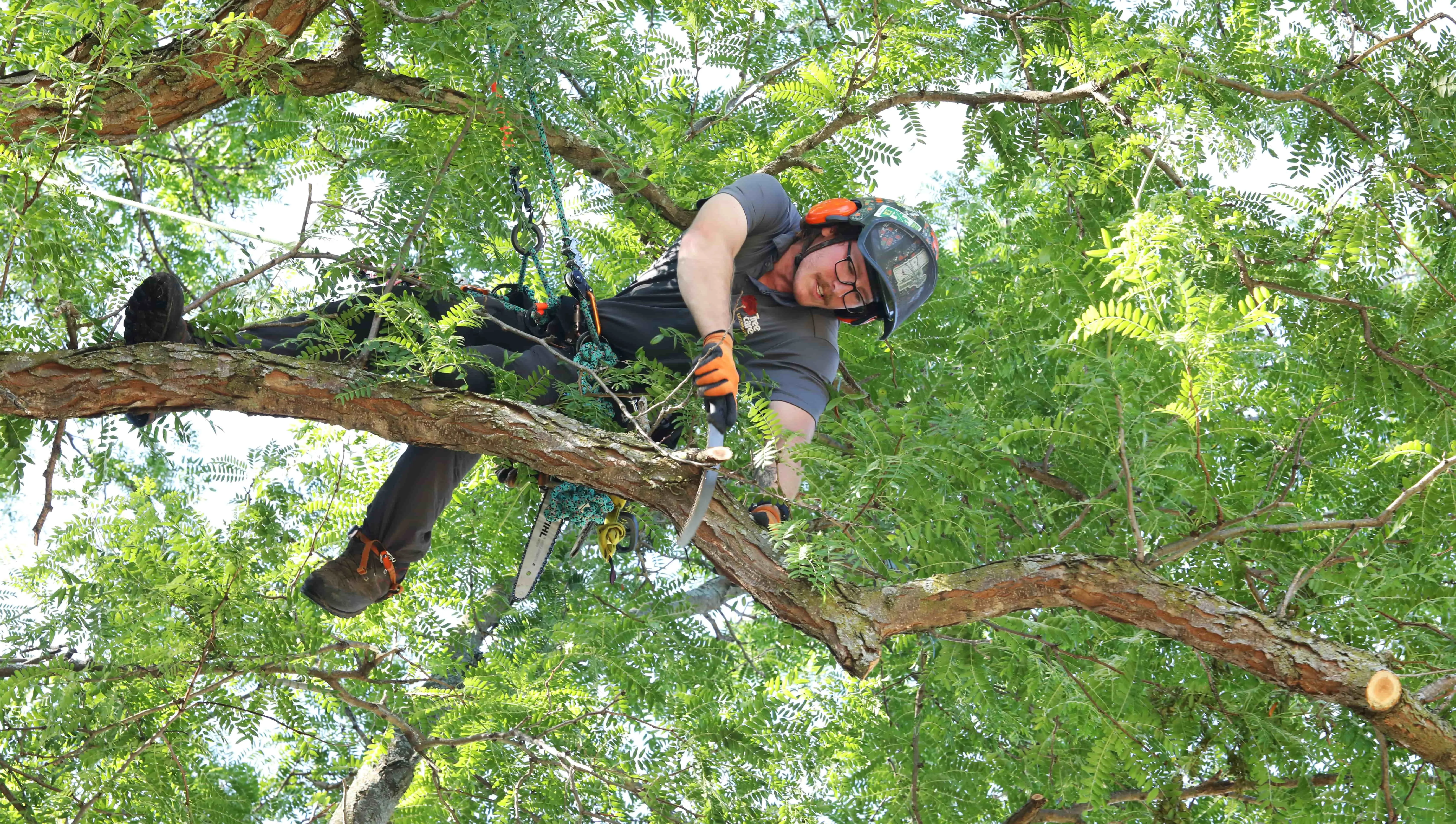 Nicholas Conservatory & Gardens to Tree Care Enterprises